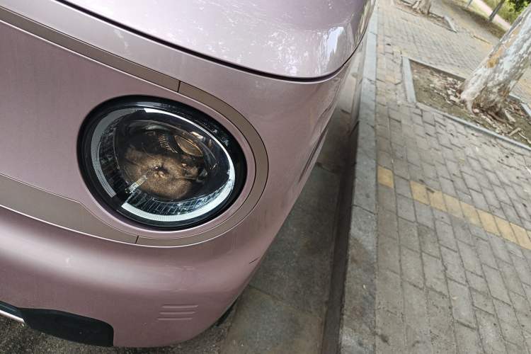 Used Geely Galaxy Panda 2023 Panda Mini 200km Endurance Bear