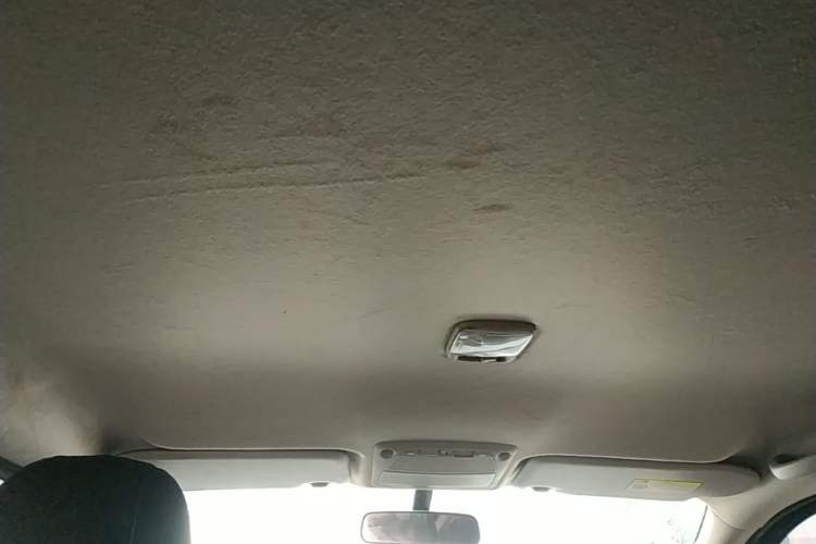 Used Dongfeng Palazzo 2021 1.8T Manual 4x4 Elite Edition Headliner