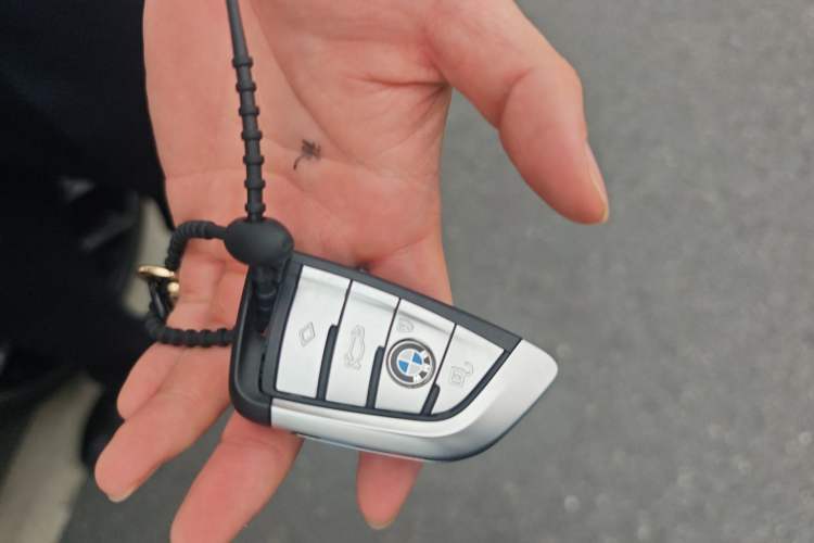 Used BMW 5 Series 2022 Second Facelift 530Li Luxury Version M Sport Package Vehicle Key