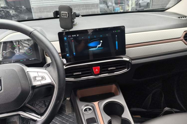 Used SOL E10X 2022 Flower Fairy Style Baby's Breath