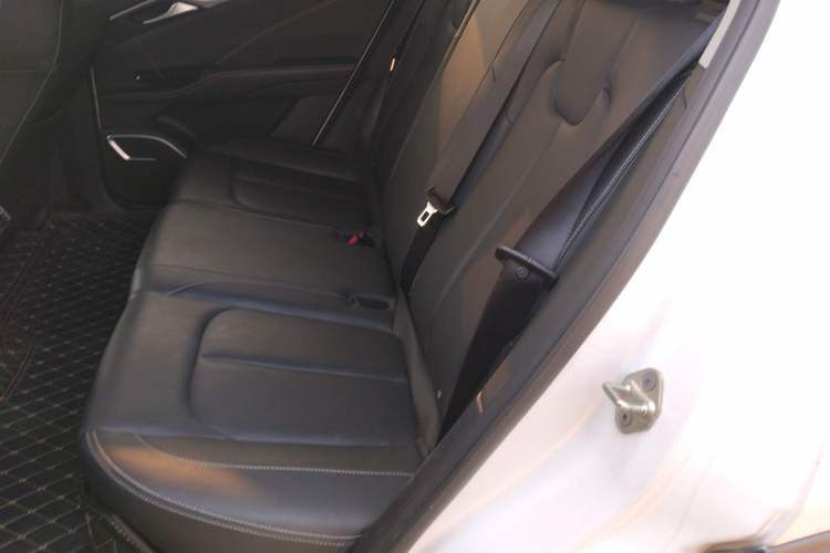 Used NETA U 2023 NETA U-Ⅱ Challenge Edition 500 U Show – Lithium Iron Phosphate Left Rear Seat