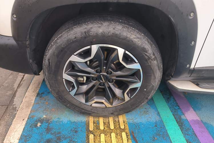 Used Haval DARGO 2022 2.0T DCT 4x4 Chinese Rural Dog Hunting Edition