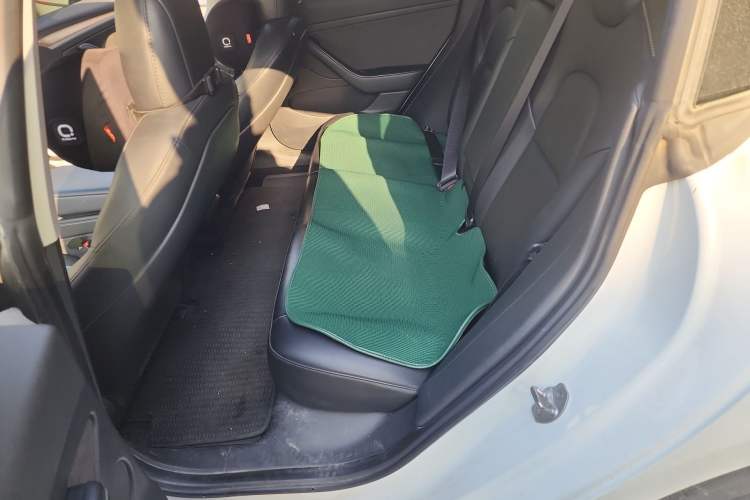 Used Tesla Model 3 2022 Rear-Wheel-Drive Version
