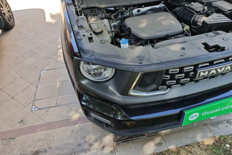 Used Haval H Dog 2023 1.5T Two-Wheel Drive Chao Ye Version Plus