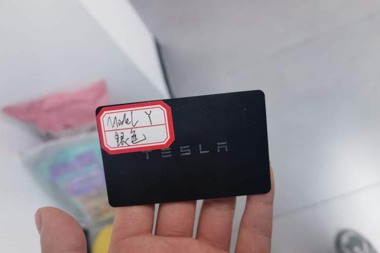 Used Tesla Model Y 2022 Revised Version Rear-Wheel Drive