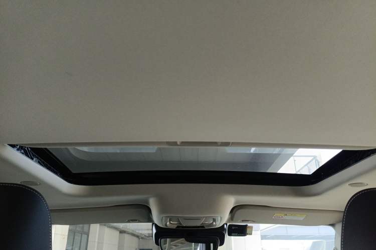 Used Tank 300 2023 City Edition 2.0T—Stylish as Ever Headliner