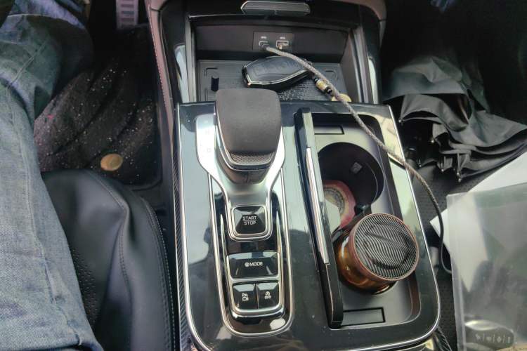 Used Hongqi H9 2024 2.0T Qixiang Private Style Edition
