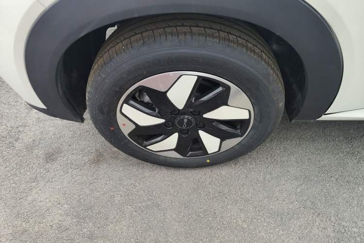 Used BYD Dolphin 2025 420km Free Edition