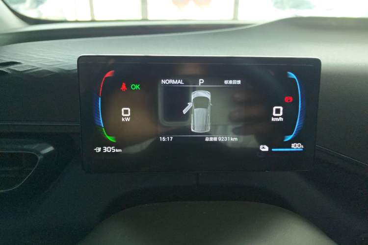 Used BYD Seagull 2025 305 km Free Version