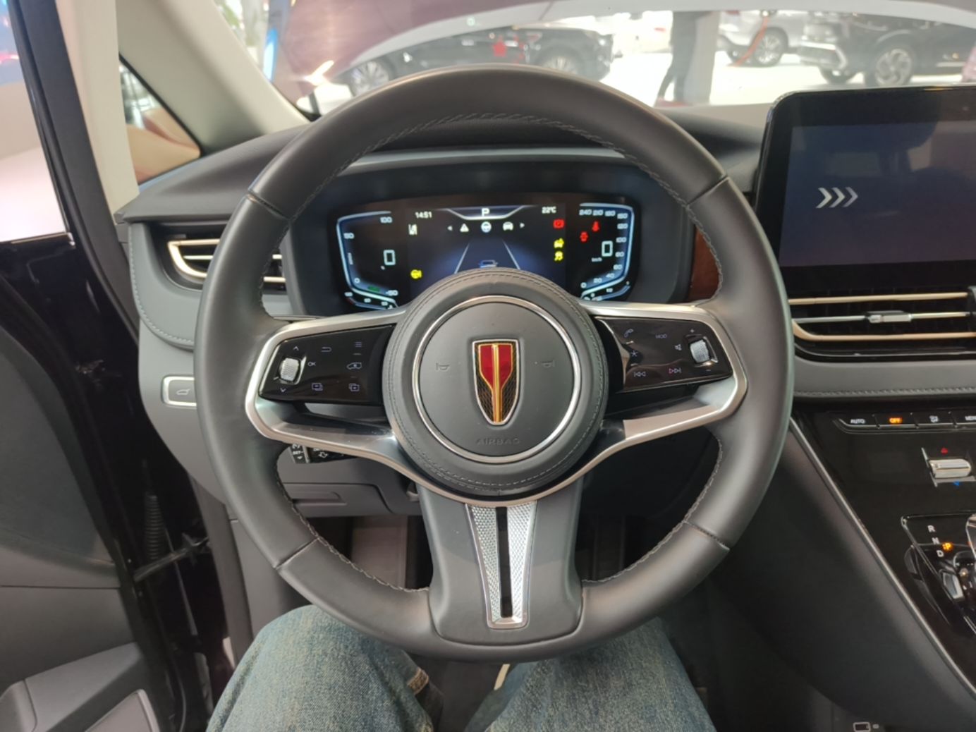 Hongqi HQ9 PHEV 2024 2.0T Four-Wheel Drive Luxury Edition — снимка 13