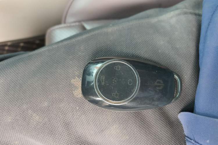 Used Leapmotor C11 2021 Performance Edition
