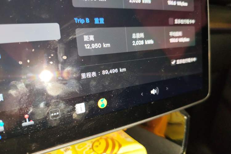 Used Tesla Model Y 2021 Standard Range Rear-Wheel Drive Version
