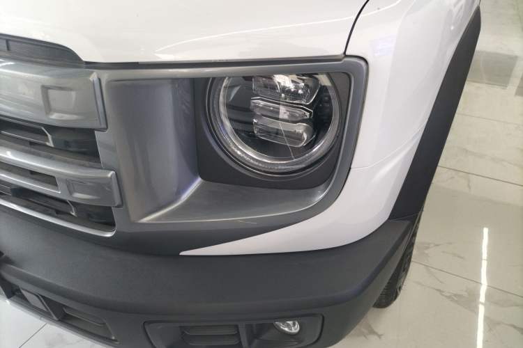 Used Haval DARGO 2024 2.0T DCT Chinese Rural Dog Edition