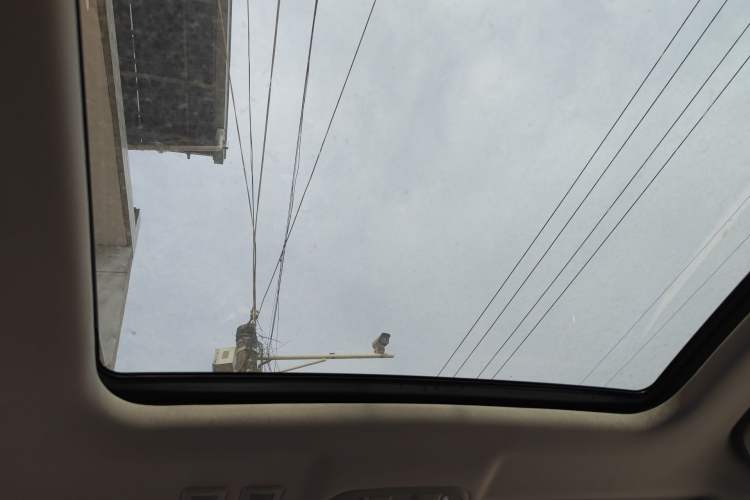 Used Haval H6 Coupe 2019 1.5T Automatic Two-Wheel Drive Elite Version China VI Standard Headliner