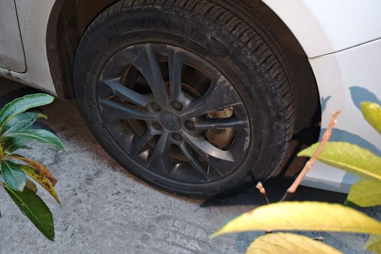 Used BYD Qin New Energy 2017 1.5T Luxury Model