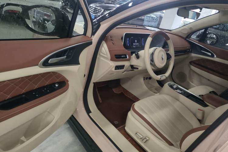 Used ORA Good Cat 2022 Morandi Edition 400km Standard Range Two-Week Young Enjoyment Version Lithium Iron Phosphate
