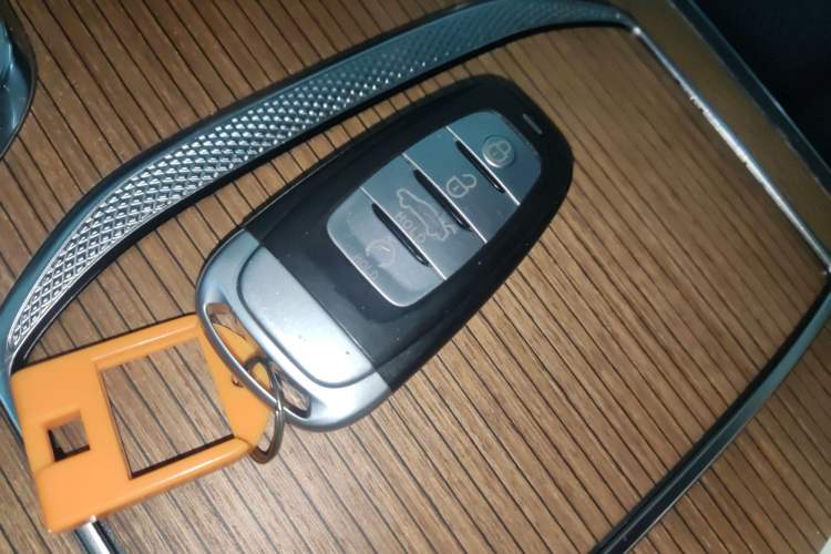 Used Hongqi E-HS9 2021 460 km Range Flagship Edition Six-Seater