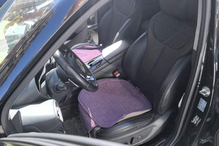 Used Hyundai Santa Fe 2019 380 TGDi GLS Automatic 2WD Luxury Version China V Standard Left Front Seat