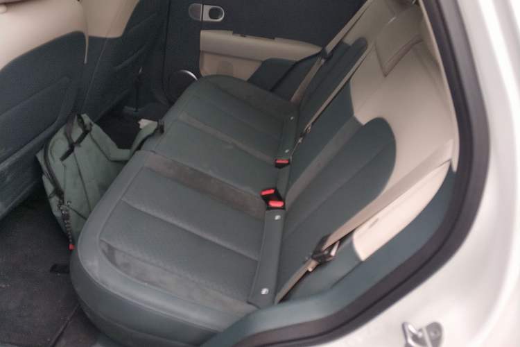 Used firefly 2025 Illuminated Edition
