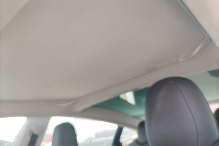 Used Tesla Model 3 2021 Standard Range Rear-Wheel Drive Upgraded Version 3D6