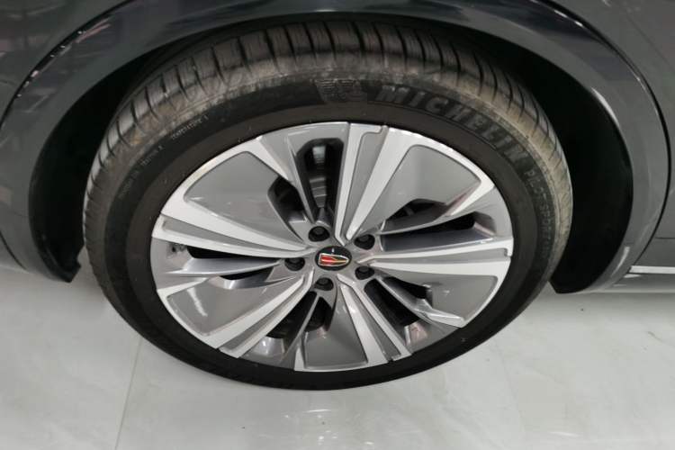 Used Hongqi E-HS9 2022 660 km Range Flagway Edition Six Seats
