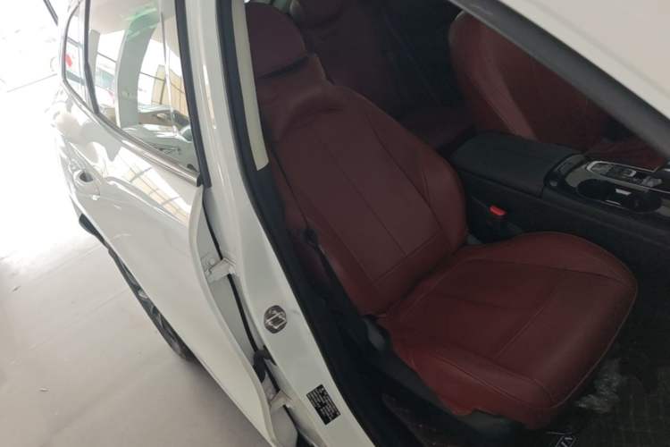Used FORTHING T5 EVO 2021 1.5TD DCT Diamond Edition

