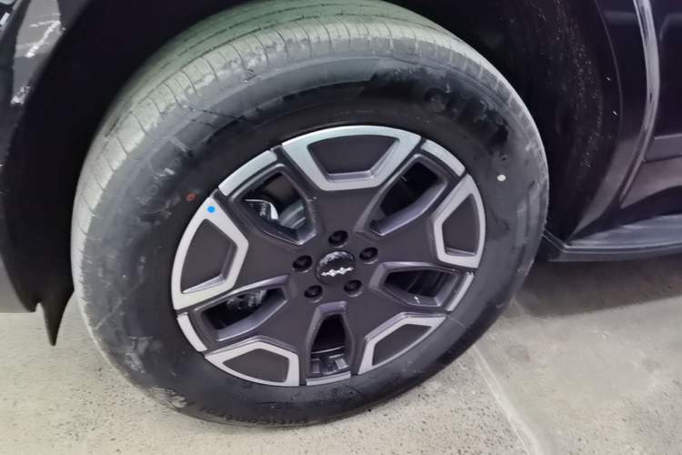 Used Formula Leopard Tai 7 2025 Model 200 km Two-Wheel Drive Max Edition
