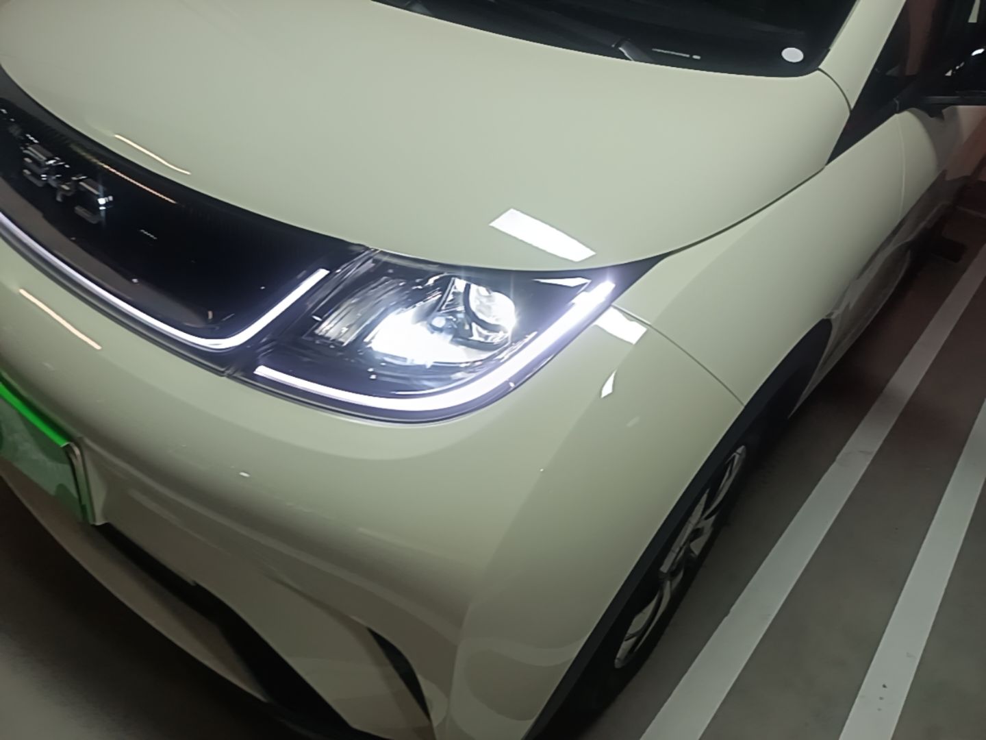 BYD Dolphin 2025 420km Free Edition — снимка 8