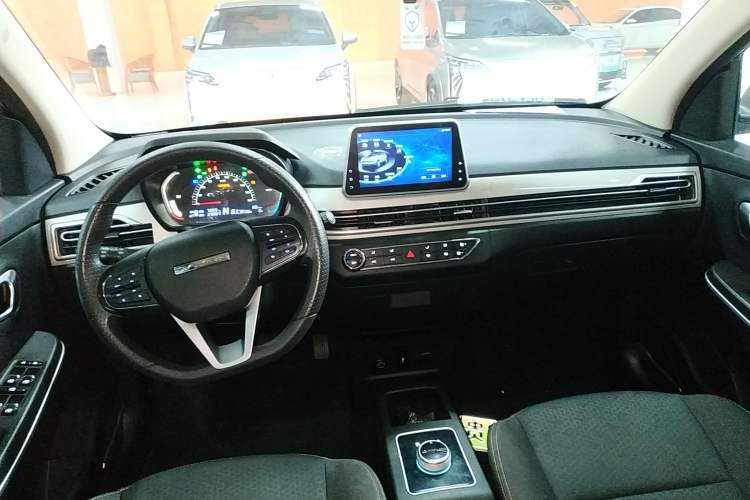 Used Dayun Yuehu 2022 30.66 kWh Two-Wheel Drive Standard Version
