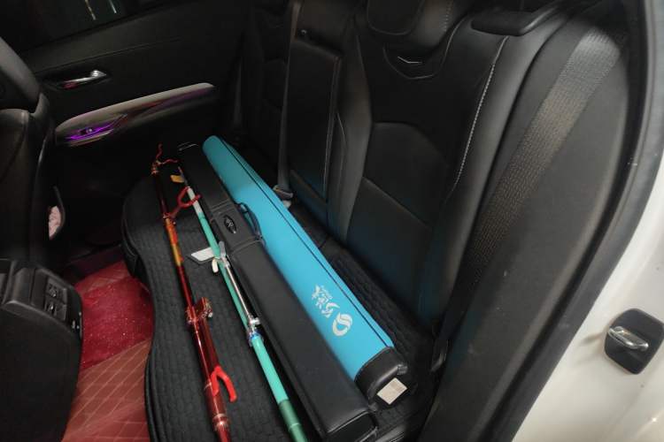 Used Cadillac XT4 2021 28T Two-Wheel Drive Leading Version Left Rear Seat