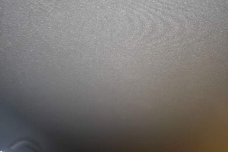 Used BYD e2 2021 Comfort Model Headliner