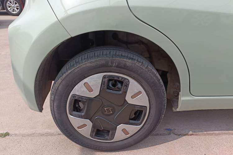 Used SOL E10X 2022 Flower Fairy Design Four-Leaf Clover