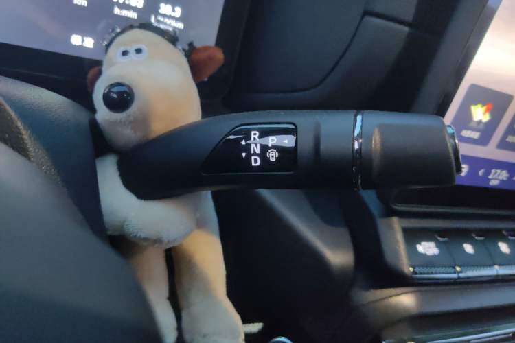 Used Haval H Dog 2026 Model 2.0T Trendy Wilderness Edition Gear Lever