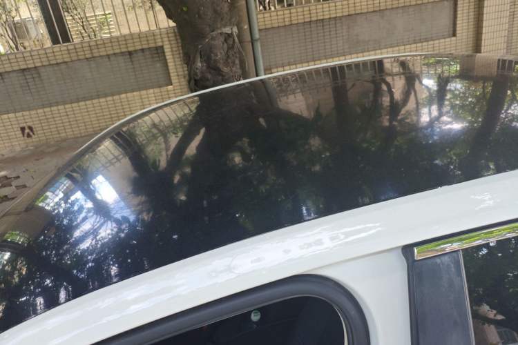 Used Volkswagen Lavida 2019 Lavida Start 1.5L Automatic Trendy Version China VI Standard