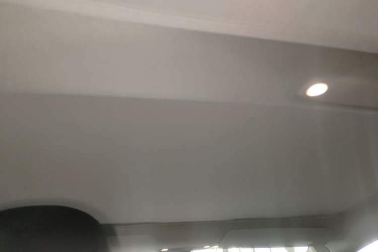 Used Tesla Model 3 2019 Long-Range Rear-Wheel-Drive Version Headliner