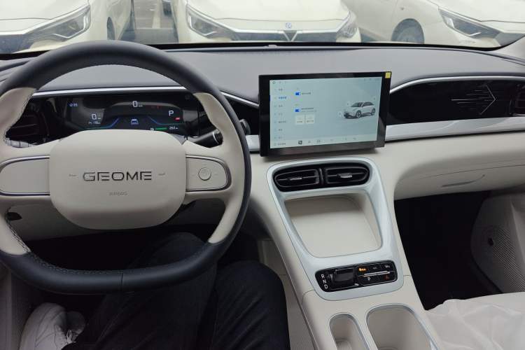 Used Geely Galaxy Geome 2025 310km Youth Edition
