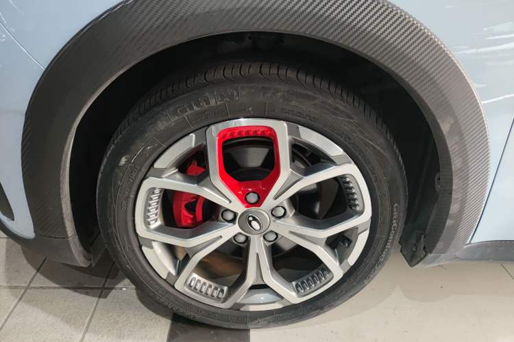 Used ORA Good Cat GT 2022 Mulan Edition 480km Long-Range续航 Left Front Wheel Hub