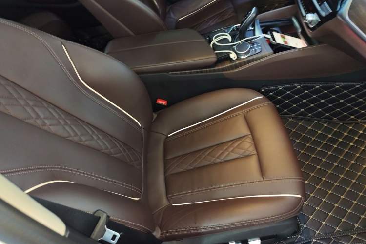 Used BMW 5 Series New Energy 2020 Mileage Upgrade Version 530Le Luxury Package Right Front Seat