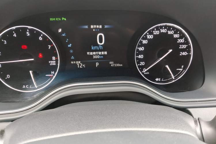 Used Toyota Avalon 2019 2.0L XLE Premium Edition China VI Odometer Close Up