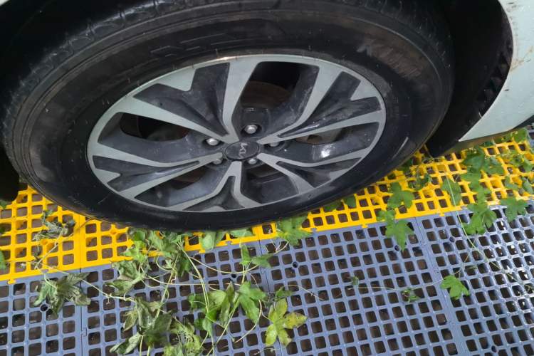 Used Kia Carnival 2021 2.0T Luxury Tech Edition
