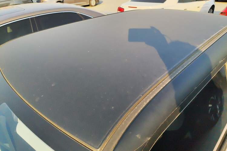 Used Qiyuan Lumin 2023 205km Xiangqin Version
