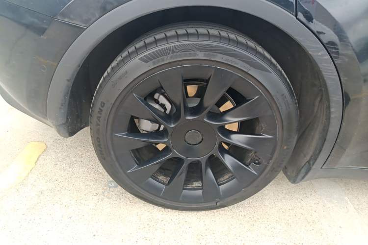 Used Tesla Model Y 2023 Rear-Wheel-Drive Version Exterior 5