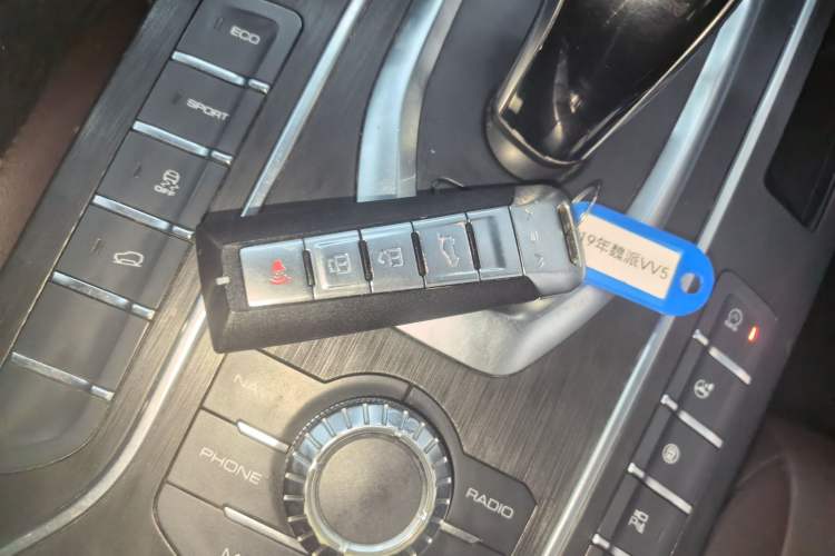 Used Wey VV5 2019 1.5T Two-Wheel Drive Color Pioneer
