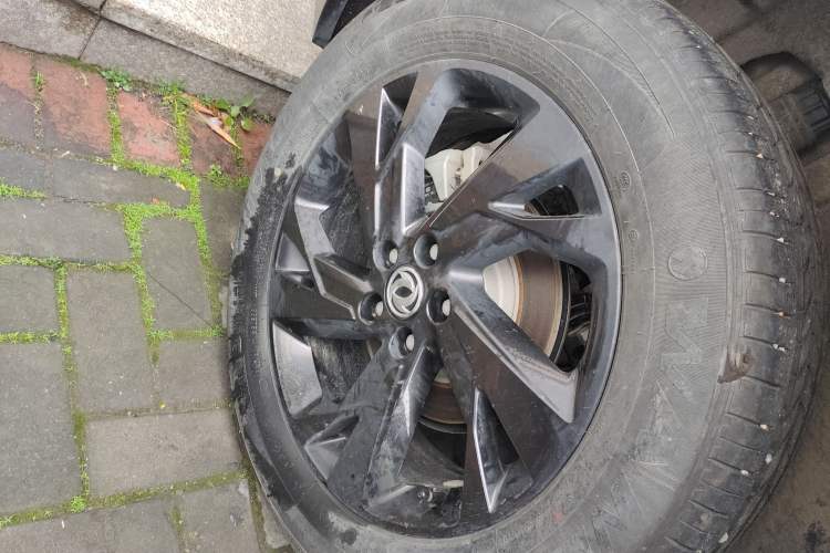 Used Dongfeng Aeolus SKY EV01 2024 530km PRO
