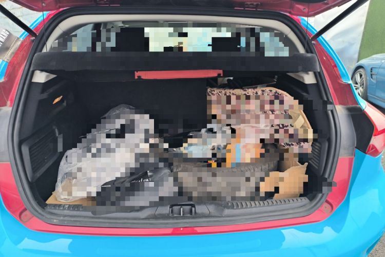 Used Ford Focus 2019 Hatchback 1.5L Manual FENGYUE Model China V Standard