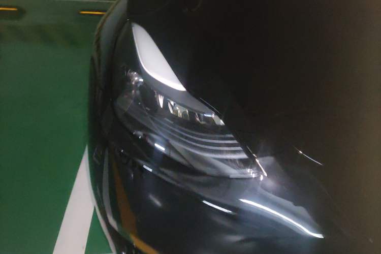 Used Tesla Model Y 2023 High-Performance All-Wheel-Drive Version