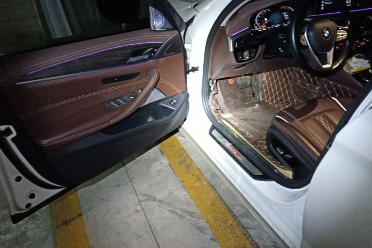 Used BMW 5 Series 2020 530Li Leading Edition Luxury Package
