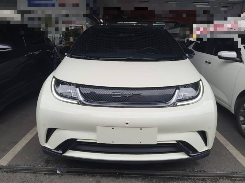 Used BYD Dolphin 2023 420 km Fashion Edition — 2