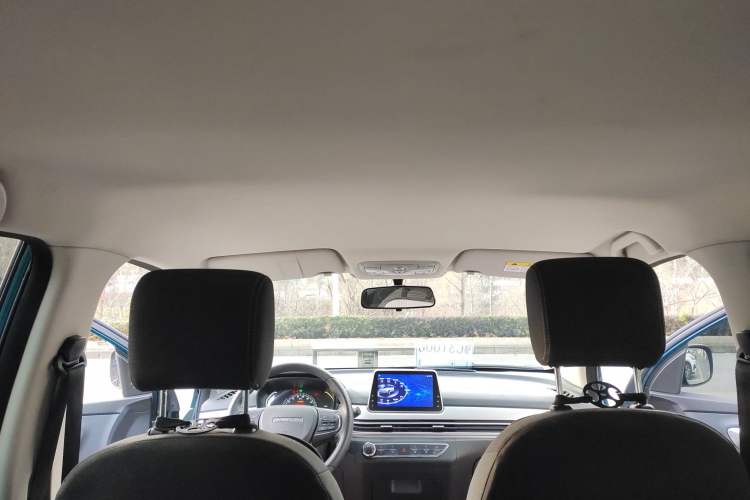 Used Dayun Yuehu 2022 300 Standard Edition
