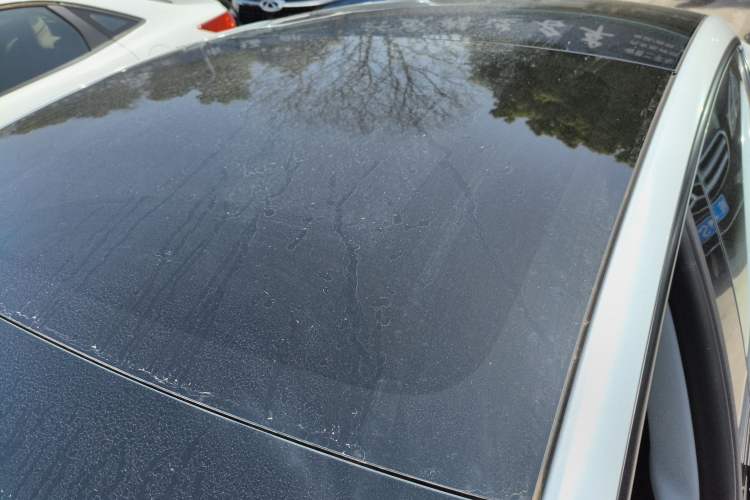 Used Tesla Model 3 2025 Model Revised Rear-Wheel-Drive Version
